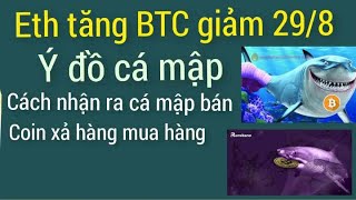 phân tích Bitcoin dogs hôm nay mới nhất ngày 298 coin crypto tăng nhẹ [upl. by Yemorej]