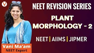 NEET Biology 2019  Plant Morphology  2 [upl. by Pleasant]