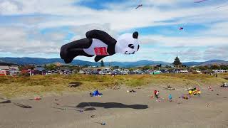 Otaki Kite Festival 2021 NZ [upl. by Henleigh]