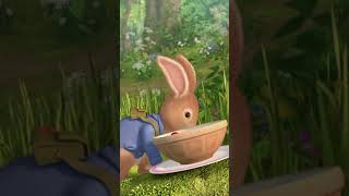 🎶 🌸 🎵 Spring has sprung 🎵 🌸 🎶 PeterRabbit Spring Song Shorts [upl. by Ayenet]