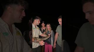 ¿Cuánto puede pesar una pitón🐍🤔 animales shorts viral snake [upl. by Amalea]