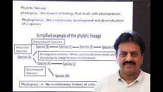 phlyetic lineageclass 11chapter 1easy lectrues by zaib [upl. by Aicile874]