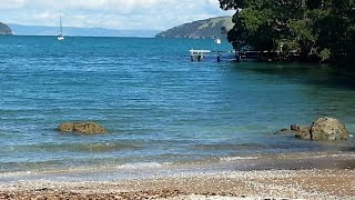 Oamaru Bay Tourist Park Coromandel New Zealand [upl. by Akirahs]