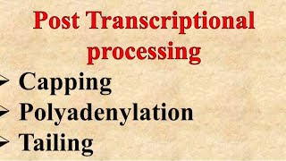 Capping Tailing Polyadenylation of hnRNA POST TRANSCRIPTIONAL MODIFICATION [upl. by Bobbe385]