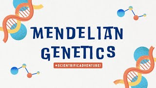 MENDELIAN GENETICS  Science 8 Quarter 4Module 3 [upl. by Nazario540]