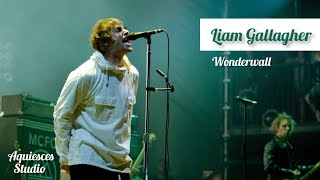 Liam Gallagher Wonderwall Live Knebworth 22 [upl. by Sylas]