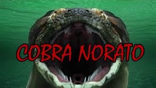 A Lenda da Cobra Norato ou Cobra Honorato  Folclore Brasileiro [upl. by Gnemgnok]