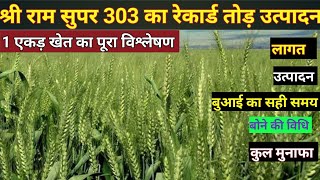 श्रीराम सुपर 303 गेहूं की पूरी जानकारी  Shree Ram Super 303  best wheat variety  gehun ki kheti [upl. by Chapen804]