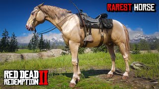 Find ALL 5 Rarest amp Special Horses As Arthur Early in Mission  RDR2 Rare amp Special Horse Guide [upl. by Lezlie]