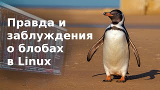 Правда и заблуждения о блобах в Linux [upl. by Allsopp]