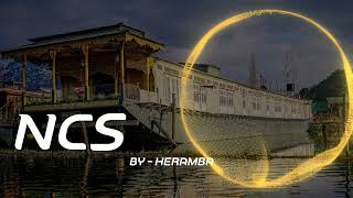 Disfigure  Summer Tune  DnB  NCS  Heramba nocopyrightsounds [upl. by Adolf]