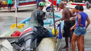 Shopping at the Nueva Gorgona Panama Fish Market [upl. by Dumah800]