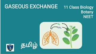 Gaseous Exchange in Tamil  Respiration  Botany I Class 11  NEET  TNSCERT Science Easy Tech [upl. by Brathwaite]