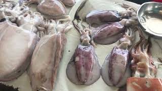 Full Tour Of Negombo Fish Market  Fish Markets Sri Lankalanka ngombo fish [upl. by Azral398]