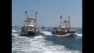 Brixham Trawler Race 2014  the finish [upl. by Rube]