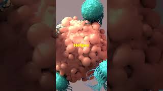 Adaptive Immunity explained  Part 3 Immune System facts science shorts [upl. by Atsahc]