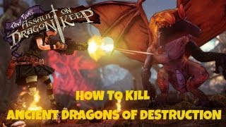 Borderlands 2  Tiny Tinas DLC How To Kill The Ancient Dragons Of Destruction Raid Boss [upl. by Johst]