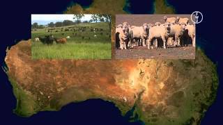 FWU  AustralienAustralia Rohstoffreichtum ohne Ende  Endless Resources  Trailer [upl. by Hershell]