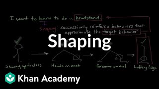 Operant conditioning Shaping  Behavior  MCAT  Khan Academy [upl. by Girhiny]