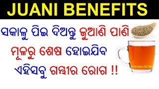 ଜୁଆଣି ର ୧୦ ଟି ଔଷଧୀୟ ଗୁଣ  Juani ra upakarita  Juani benefits  Ajwain Odia  ODIA HEALTH TIPS [upl. by Azerila]