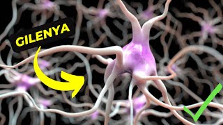 Gilenya What You Need to Know About Its Uses and Potential Side Effects [upl. by Nea]