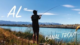 CATCHING TROUT IN HYDRO CANALS New Zealand  EP8 [upl. by Velma]