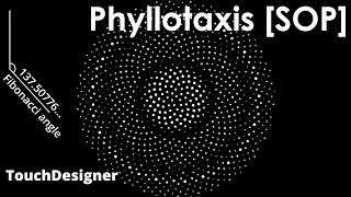 Phyllotaxis SOP  TouchDesigner [upl. by Stanly787]