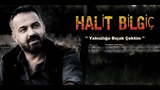 Halit Bilgiç  Yalnızlığa Bıçak Çektim [upl. by Lupien913]