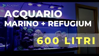 Acquario Marino con Refugium 600 litri  Saltwater tank 160 Gallon [upl. by Dibri3]