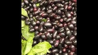 Homeo Diabetes Cure syzygium jambolanum [upl. by Alenoel]