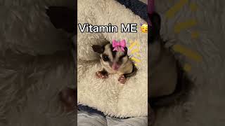 Vitamin ME youtubeshorts funny cute memes relatable relationship funnyanimals love [upl. by Olenta]