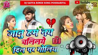 Dj Satya number 1  डोलीया से पूछ ले न रे ।Ashish Yadav amp shweta Sargam  Janu hum nai chalio Dil [upl. by Acinot296]