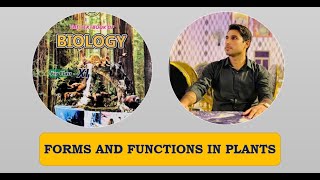 Class 11th  Forms And Functions In Plant  Lecture 2  Gaseous Exchange In Plants [upl. by Oileduab]