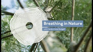 Tune in to Nature Breathing in Nature Meditation [upl. by Ecnirp]