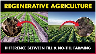 Regenerative Agriculture  Till and No Till Farming [upl. by Haleeuqa]