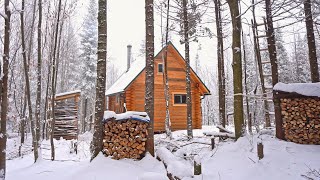 Building A Log Cabin  Ep 65  Finally a cozy place to relax in a snowstorm Winter Cabin Life [upl. by Murat]