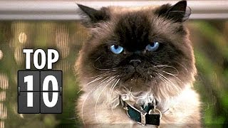 Top Ten Cat Quips and Cameos  Cats in Movies HD [upl. by Clari]