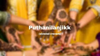 puthanilanjikk slowedreverbmailanji monjulla veedmalayalam slowed song [upl. by Ita]