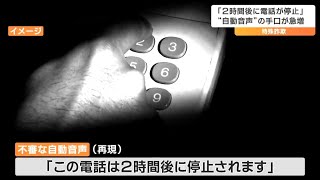 「この電話は２時間後に停止されます」自動音声使った特殊詐欺が急増 警察「詐欺の手口は日々巧妙化」 [upl. by Nylla]