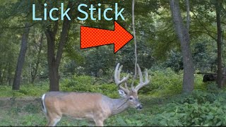 What is a Lick Stick Does it Work [upl. by Atalya]