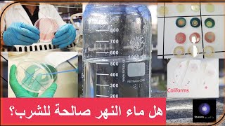 مقارنة بين مياه النهر والمنزل من حيث صلاحيتها للشرب ميكروبيولوجي عصياتقولونية Enterococcus [upl. by Eerahs]