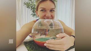 Simona Halep revine pe terenul de tenis  DETALII [upl. by Powers805]