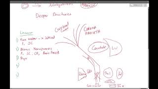 3 Lacunar Strokes [upl. by Enivid]