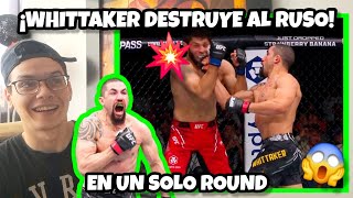 ROBERT WHITTAKER DESTRUYE a ALISKEROV en un SOLO ROUND💥 que nadie dude del australiano [upl. by Mcmahon]