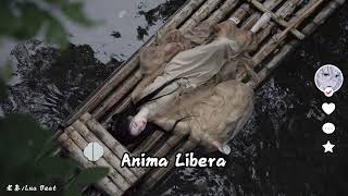 Anima Libera 08x （ DJ版 ） 喜欢的音乐！！抖音 [upl. by Nowd]