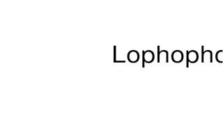 How to pronounce Lophophorus [upl. by Iznil]