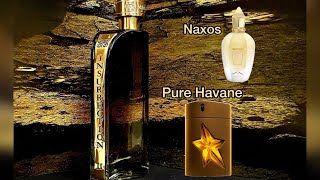 Insurrection Wild vs Naxos vs Pure Havane 🧐 [upl. by Shotton]