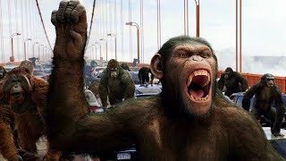 RISE OF THE PLANET OF THE APES 2011  Apes vs Humans Bridge Battle Scene HD [upl. by Daughtry180]