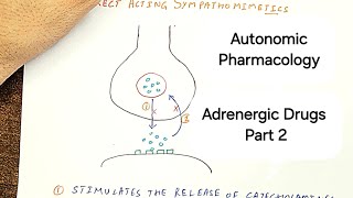 The Ultimate Guide to Adrenergic Drugs  part 2  Sympathomimetics [upl. by Atiuqihc868]