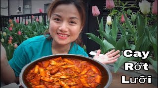 🇯🇵Làm amp Ăn Thử Bánh Gạo Cay Phô Mai Hàn Quốc Giữa Vườn Hoa Tulip Tteokbokki 193 [upl. by Radnaxela]